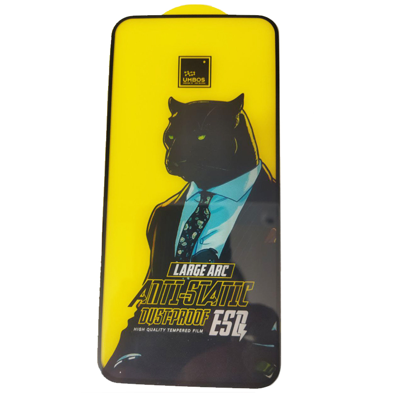 گلس گوشی iPhone 12/ 12 Pro