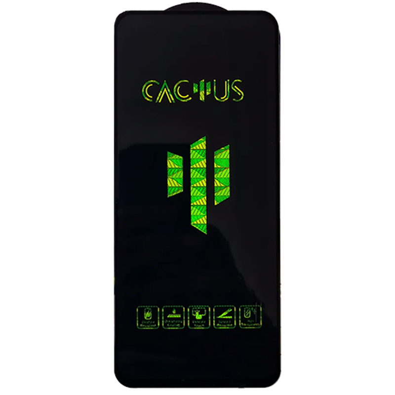 گلس گوشی iPhone 12 /12 Pro